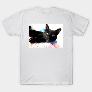 Izzy T-Shirt